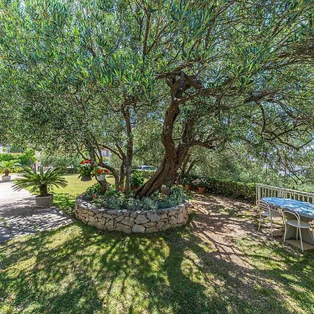 Sunny Apartment Makarska